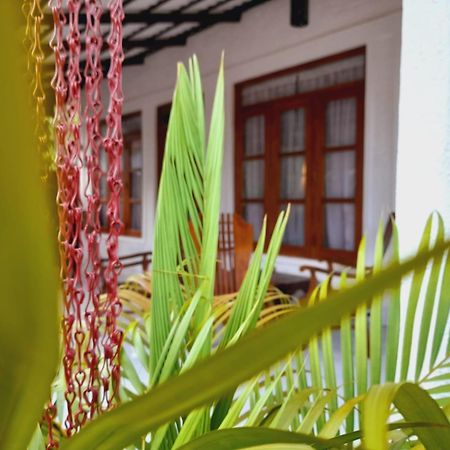 The Cozy Cottage Habarana Luaran gambar