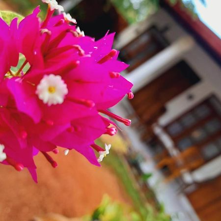 The Cozy Cottage Habarana Luaran gambar