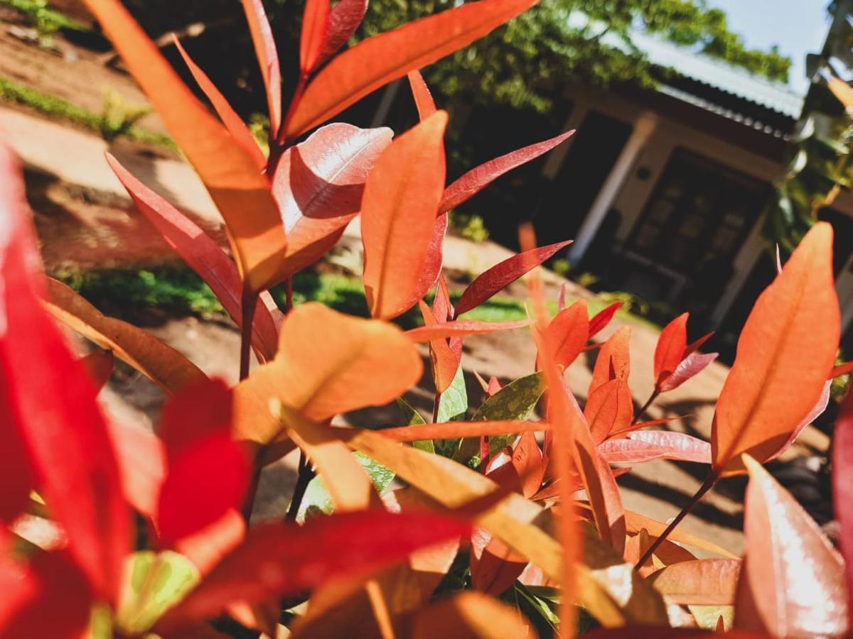 The Cozy Cottage Habarana Luaran gambar