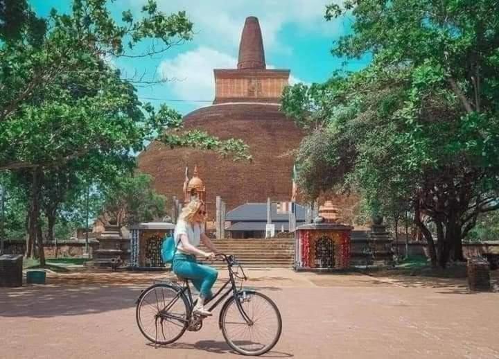 The Cozy Cottage Habarana Luaran gambar