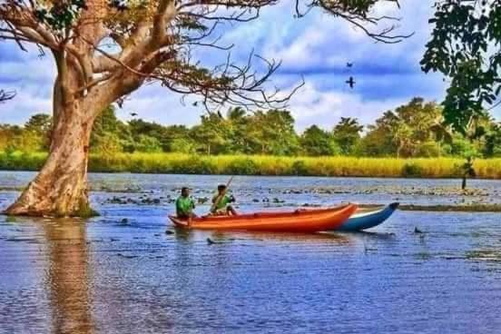 The Cozy Cottage Habarana Luaran gambar