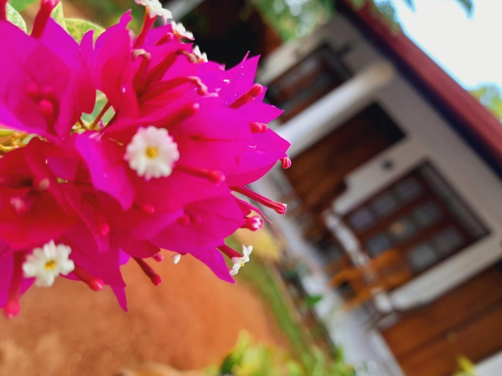 The Cozy Cottage Habarana Luaran gambar