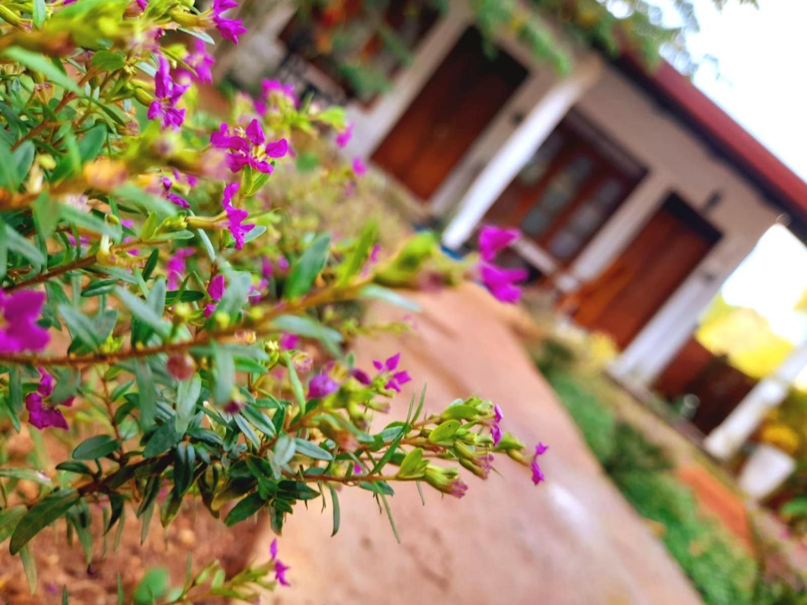 The Cozy Cottage Habarana Luaran gambar